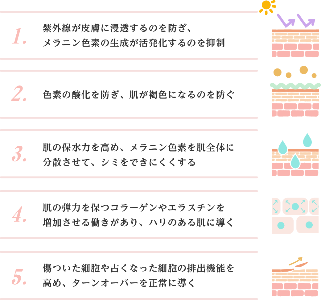 異常になった免疫に働きかけるβーグルカンに期待される効果