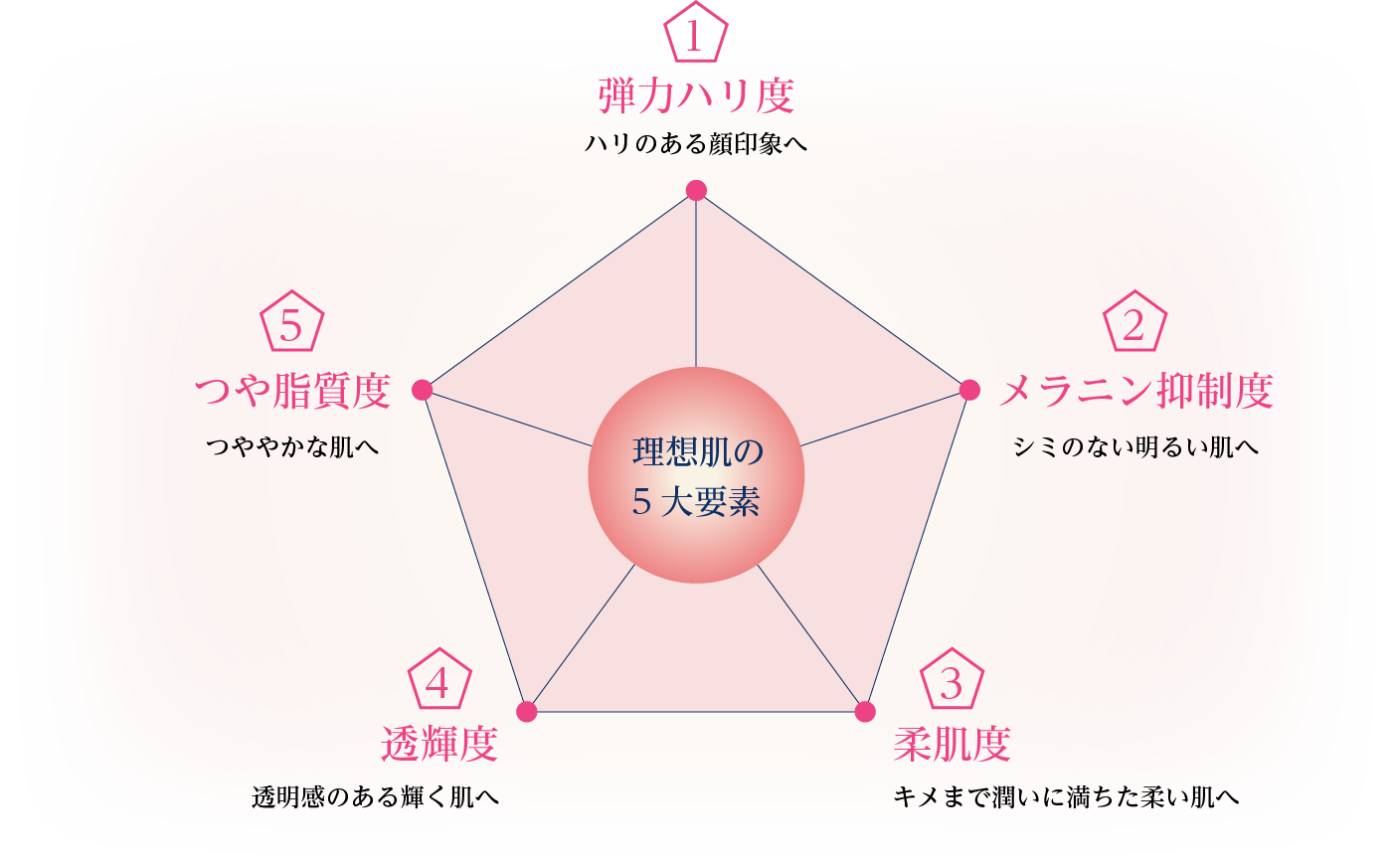 理想肌の5大要素