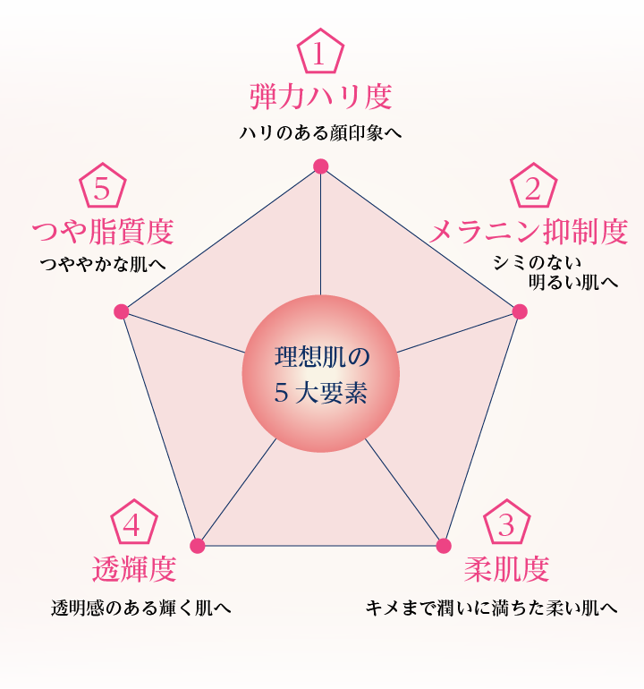 理想肌の5大要素
