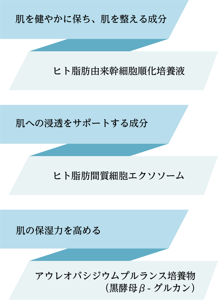肌を健やかに保ち、肌を整える成分...