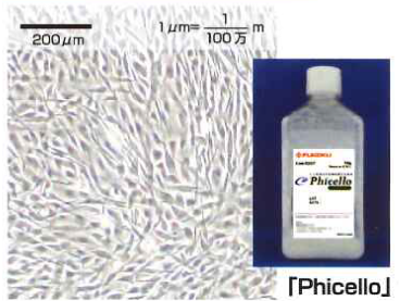 Phicello ファイセロ