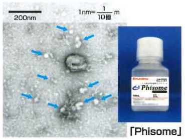 Phisome ファイソーム